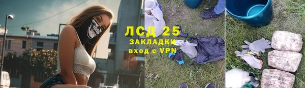 прущие грибы Алексин
