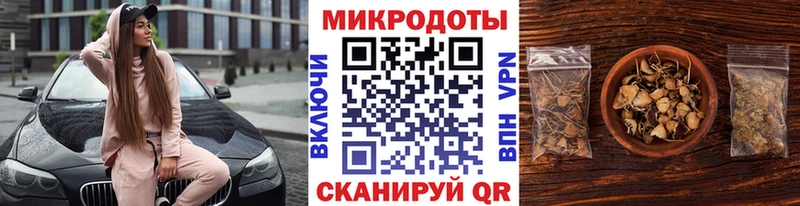 Галлюциногенные грибы Psilocybe  Кандалакша 
