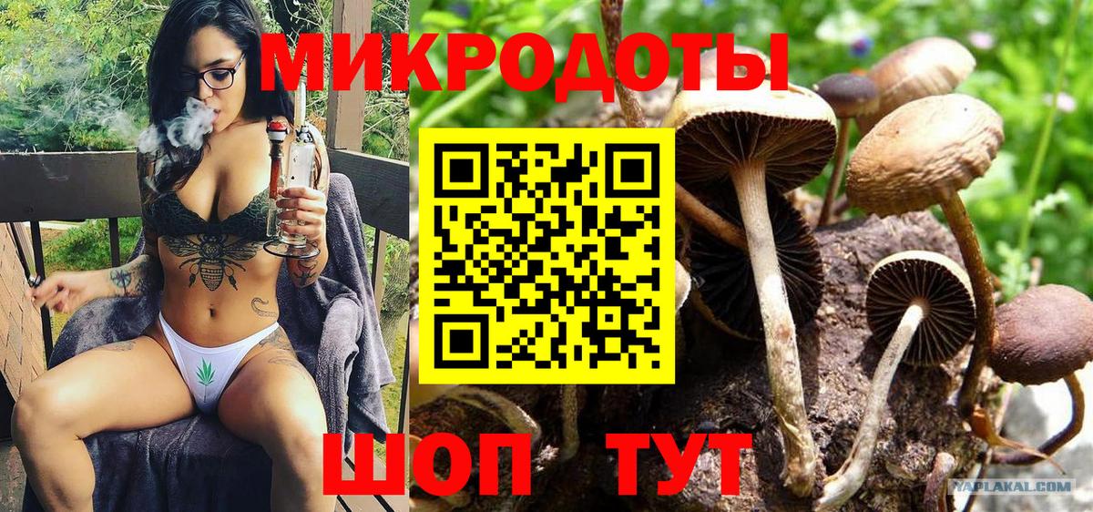 Псилоцибиновые грибы Psilocybe  Вход с VPN  Галлюциногенные грибы Cubensis  Кандалакша 